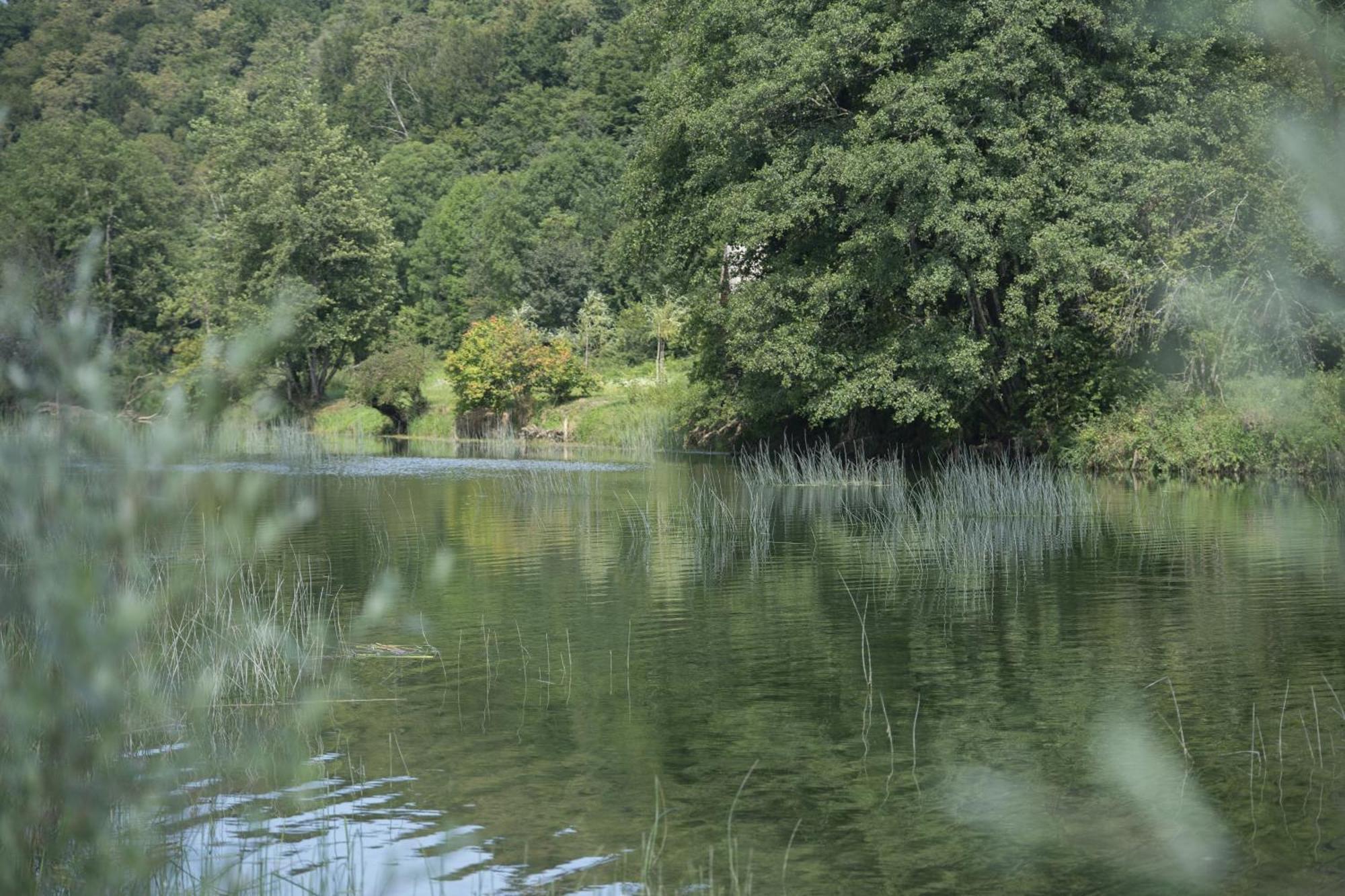 Villa Kuca Za Odmor Casa Huerta Frketic Selo Esterno foto
